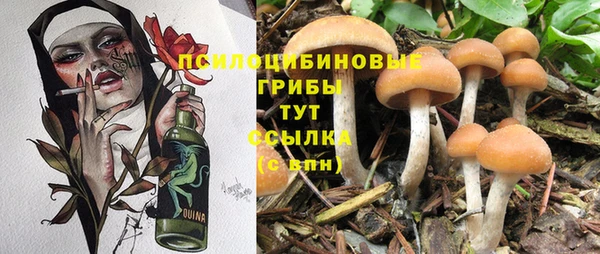 мескалин Зерноград