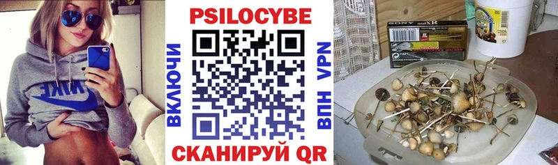 Псилоцибиновые грибы Psilocybine cubensis  Купить  Никольск 