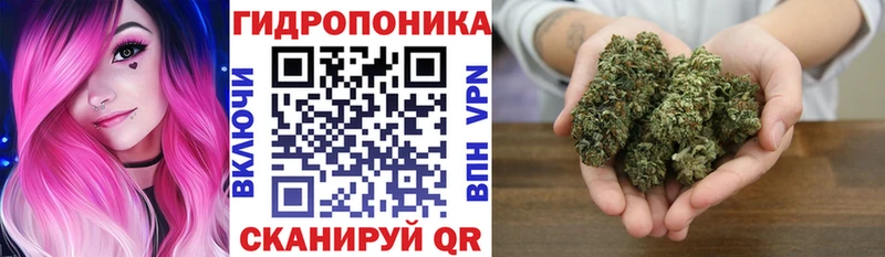 Купить Никольск Конопля индика